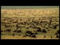 BBC Knowledge - Świat Kształtowany Przez Czas
