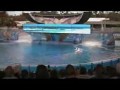 Wpadka na pokazie w oceanarium
