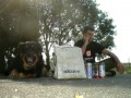 GRAFF - REMI GAILLARD
