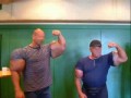 Synthol i Głupota ludzka