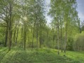Cały rok w 40 sekund