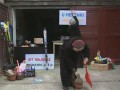 Pani Barbara - Kryzys