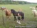 Wypadek na Koniu