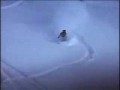 Snowboard - the best of freestyle