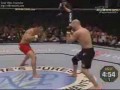 Nokauty UFC i MMA