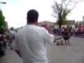 Odwaga czy głupota