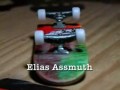 Elias Assmuth 07 fingerboard
