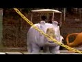 Jackass - The Best of