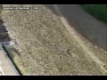 Motor stunts
