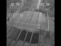 Szczęściarz na przejeździe kolejowym