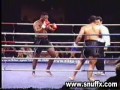 kickboxer