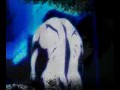 AMV - Mugen