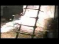terminator - parodia