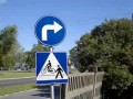 Polskie absurdy