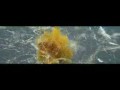 Wspaniała reklama w stylu slow motion