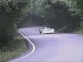Jeleń vs samochód wyścigowy