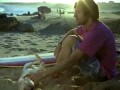 Volkswagen - Rybopies