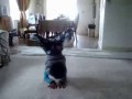 Mały mistrz break dance