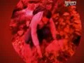 Szkoła przetrwania - Meksyk