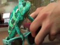 Kameleon