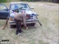 Zabawy z czarnym prochem