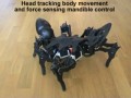 A-Pod Robot pająk