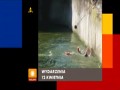 Łapu Capu