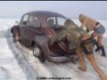 Laska za kierownicą