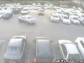 Stupid Woman Driver