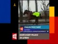 Łapu capu Extra
