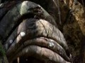 BBC - Atak Mrówek - Lektor PL