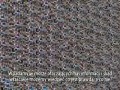 Michael Shermer - Wykrywacz bzdur