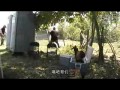 Jackass 2.5