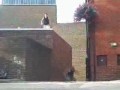 Extreme jumping