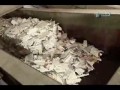 Jak to jest zrobione - papier toaletowy