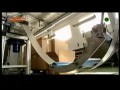 Polak potrafi - tablice rejestracyjne