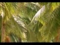 Ku pamięci ofiar Tsunami - Tears in heaven