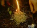 Man vs. Wild Bear Grylls