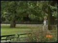 Ukryta kamera - Mewa