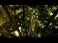 Blood The Last Vampire - Zwiastun