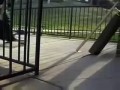 Niepełnosprawny skater