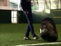 Trening bez użycia rąk w Arsenalu