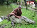 Krokodyl i człowiek