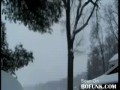 Drwal amator