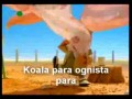 Bracia koala - backmashing