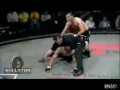 Efektowny nokaut w MMA