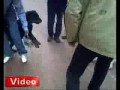 Kot atakujący Rottweilera