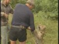 Reklama Animal Planet