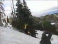 Salto na stoku
