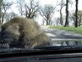 Erotyczny pokaz na masce samochodu